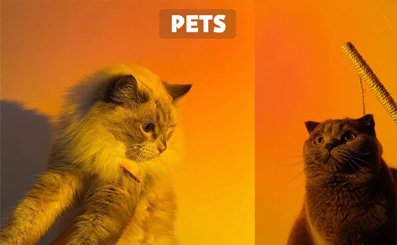 ZK20 Sunset Lamp Led Projector Remote Control Rainbow Atmosphere Night Light Photographic Home Background Wall Decoration Lamp