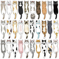 30-Piece Cartoon Cat Bookmark Set