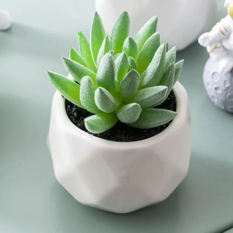 Eco-Friendly Artificial Succulent Bonsai Set Realistic Plastic Mini Cactus Plants for Home Desk Office and Wedding Table Decor