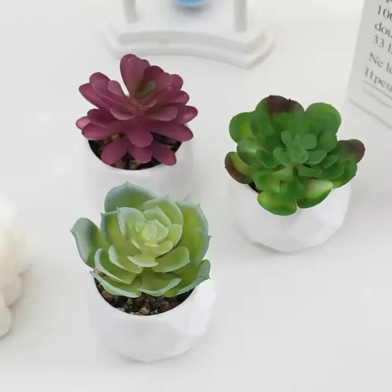 Eco-Friendly Artificial Succulent Bonsai Set Realistic Plastic Mini Cactus Plants for Home Desk Office and Wedding Table Decor