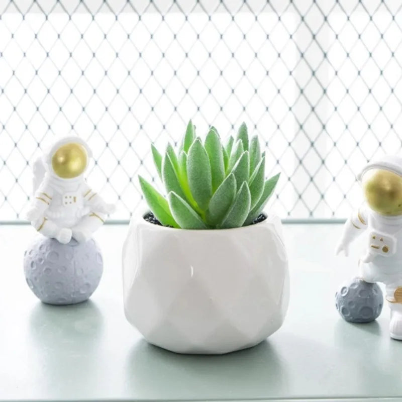 Eco-Friendly Artificial Succulent Bonsai Set Realistic Plastic Mini Cactus Plants for Home Desk Office and Wedding Table Decor