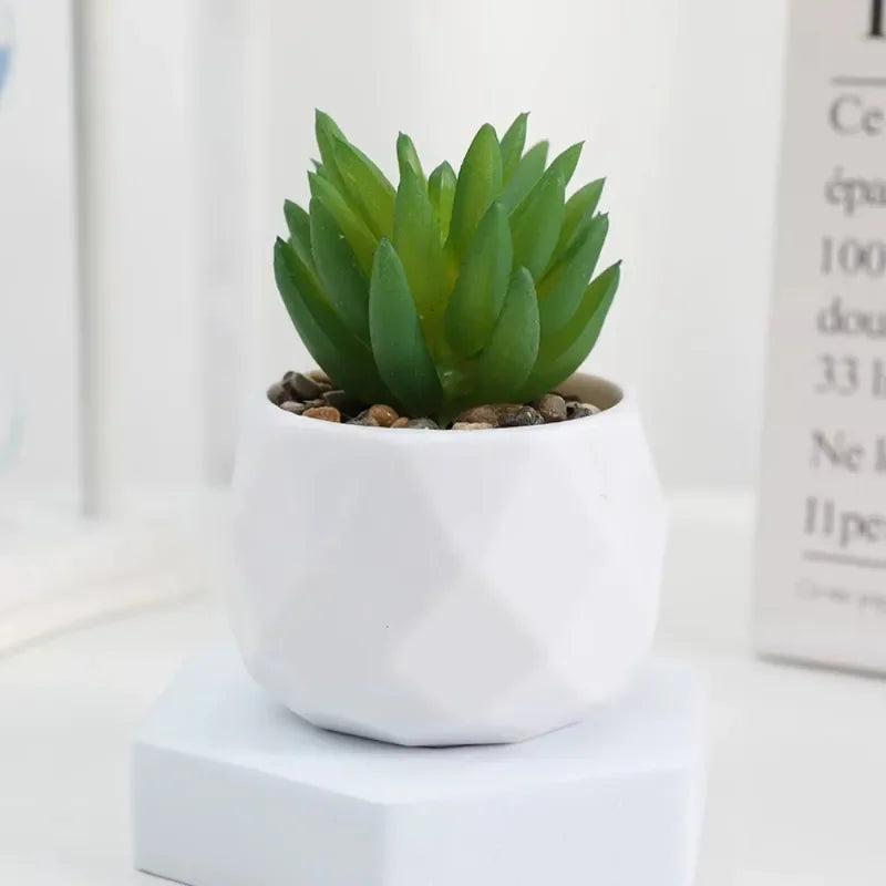 Eco-Friendly Artificial Succulent Bonsai Set Realistic Plastic Mini Cactus Plants for Home Desk Office and Wedding Table Decor