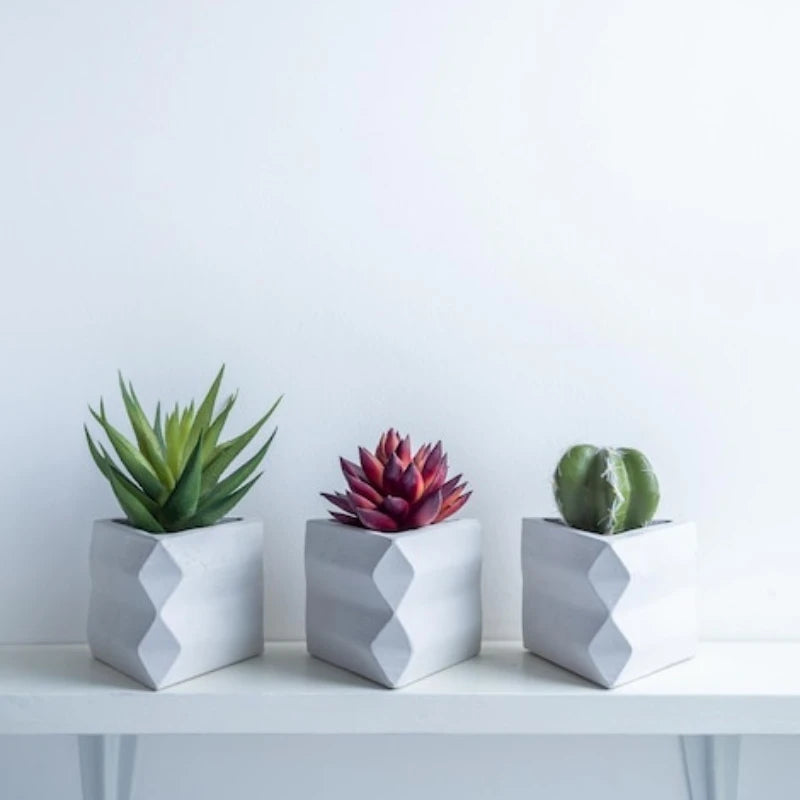 Eco-Friendly Artificial Succulent Bonsai Set Realistic Plastic Mini Cactus Plants for Home Desk Office and Wedding Table Decor