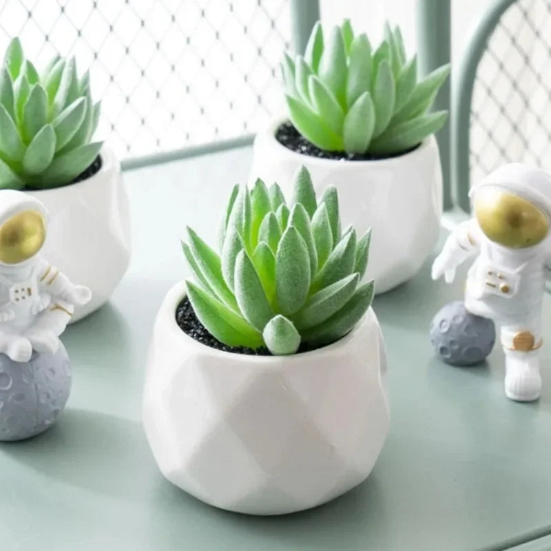 Eco-Friendly Artificial Succulent Bonsai Set Realistic Plastic Mini Cactus Plants for Home Desk Office and Wedding Table Decor